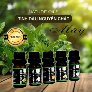 [Size lớn 550ml] Máy Khuếch Tán Tinh Dầu Bí Ngô Cổ Cao